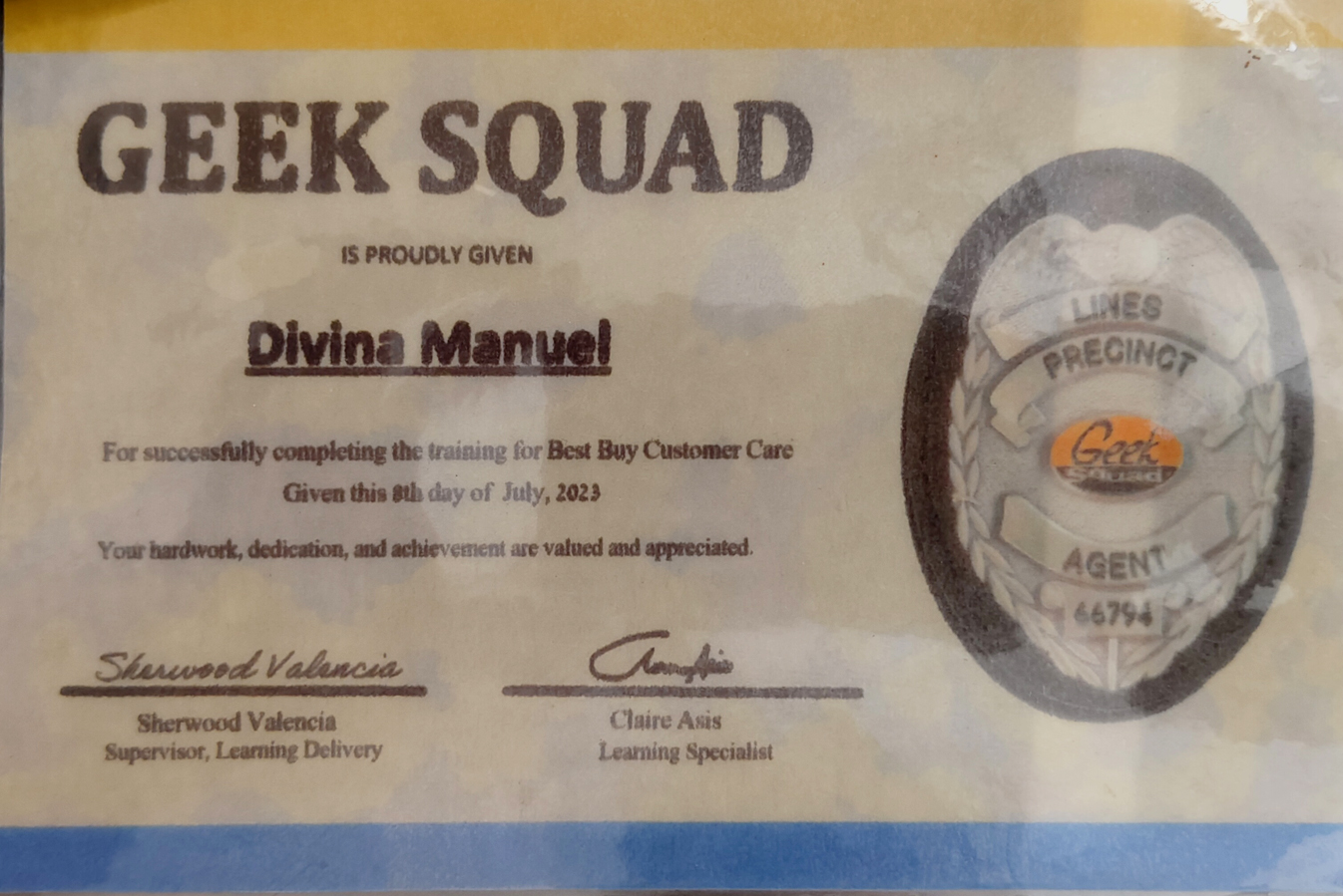 Geek Squad Training for Best Buy Customer Care