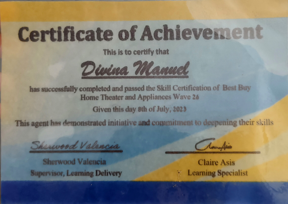 Skill Certification of Best Buy Home Theater & Appliances