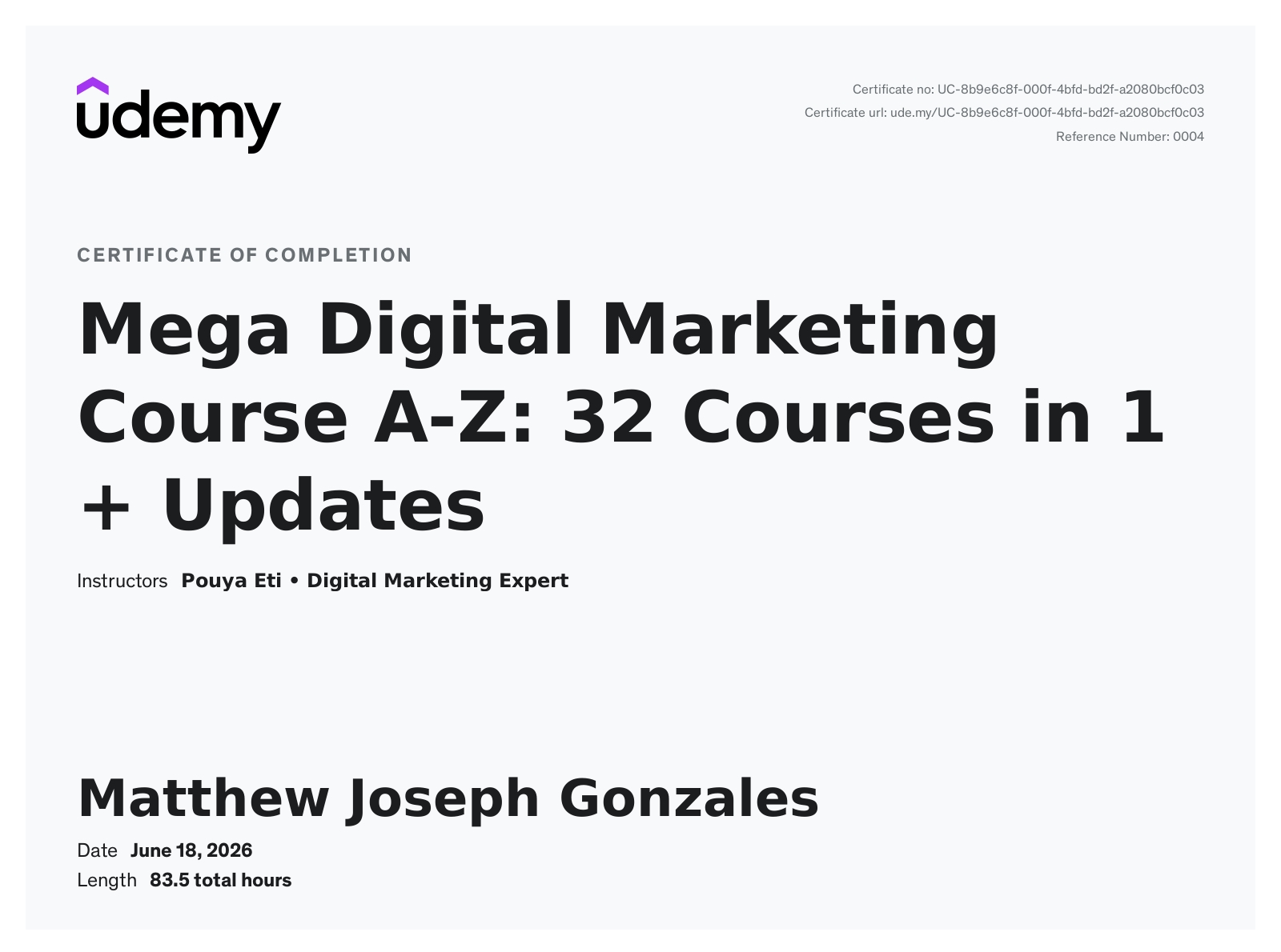 Mega Digital Marketing Course by Pouya Eti