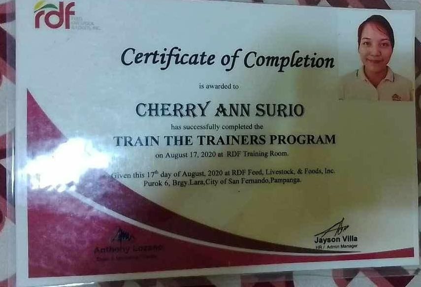 Train the Trainers Program