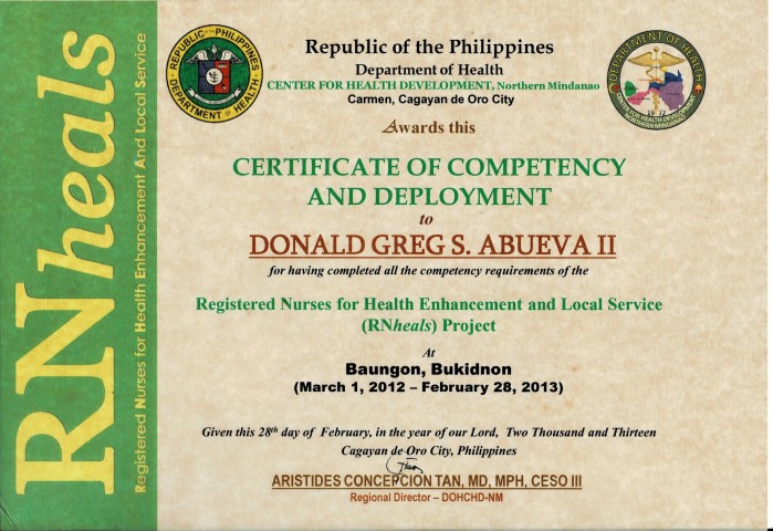 REGISTERED NURSES FOR HEALTH ENHANCEMENT AND LOCAL SERVICE