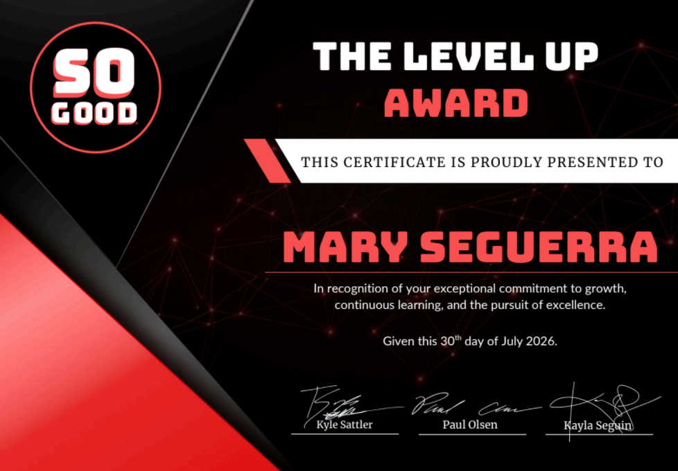THE LEVEL UP AWARD
