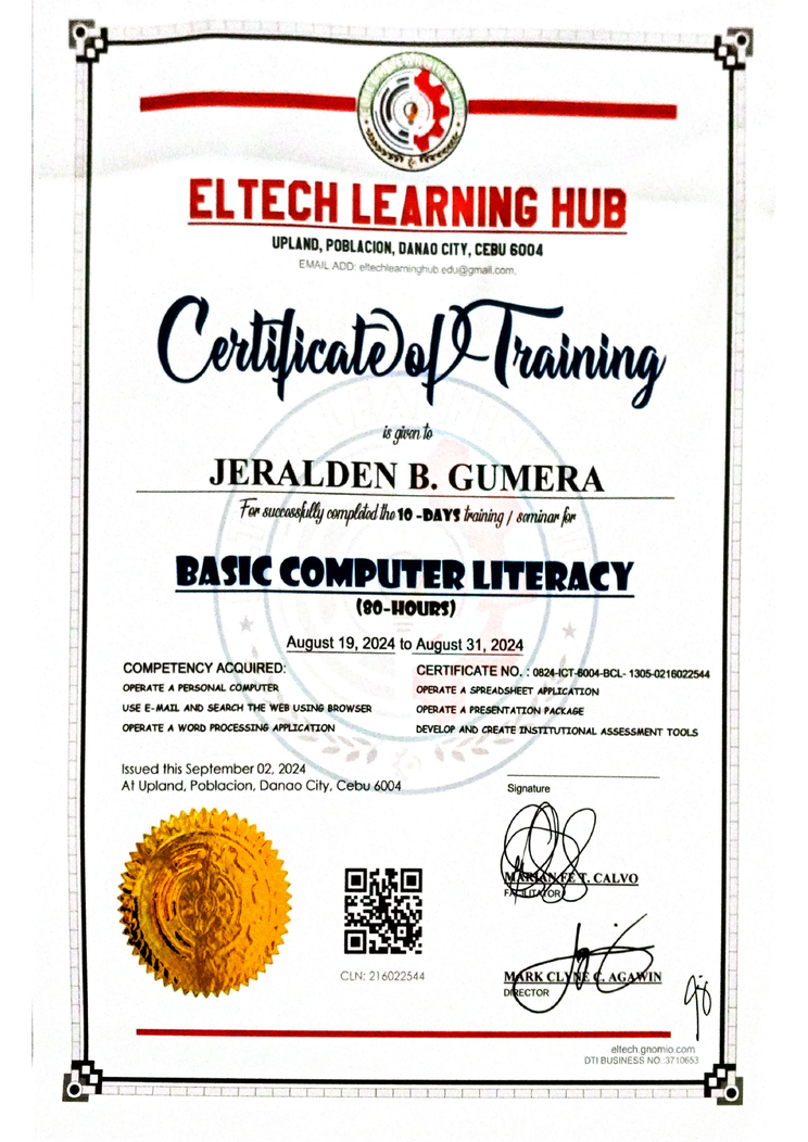 Basic Computer Literacy